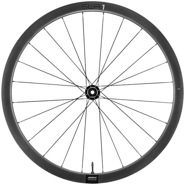 Giant SLR 1 36 Disc Front