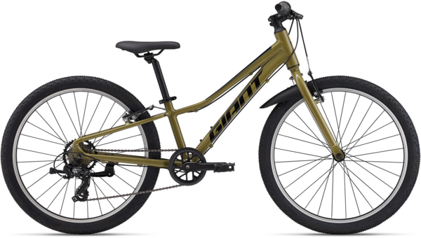 Giant Talon 24 Lite