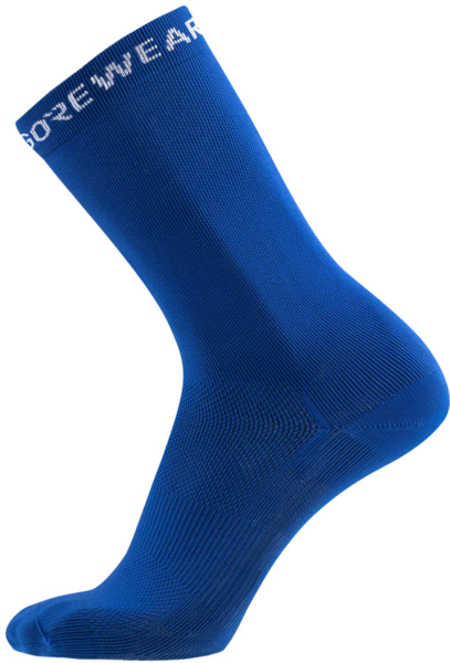 Gorewear Essential Socks