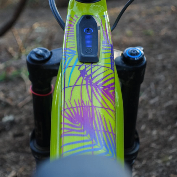 NEIGHBORHOOD×LFE BICYCLE FRAME PROTECTOR Bike Frame Protection – Dyedbro