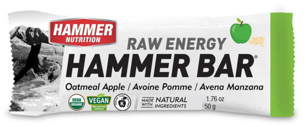 Hammer Nutrition Hammer Bar Flavor | Size: Oatmeal Apple | Single Serving