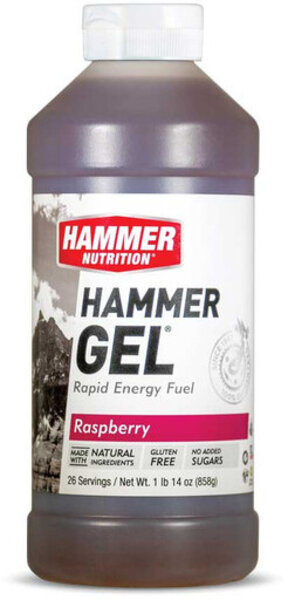 Hammer Nutrition Hammer Gel Flavor | Size: Raspberry | 26-serving
