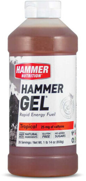 Hammer Nutrition Hammer Gel Flavor | Size: Tropical | 26-serving