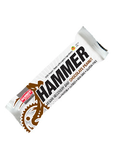 Hammer Nutrition Hammer Vegan Recovery Bar