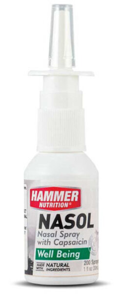 Hammer Nutrition Nasol