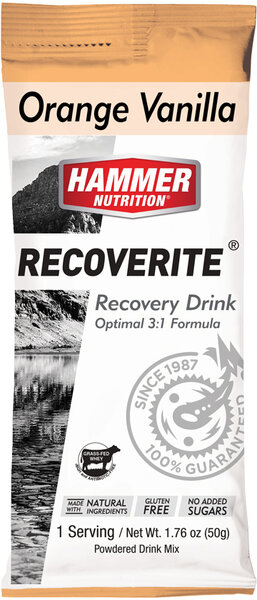 Hammer Nutrition Recoverite Flavor | Size: Orange Vanilla | Single Serving