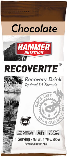 Hammer Nutrition Recoverite Flavor | Size: Chocolate | Single Serving 12-pack