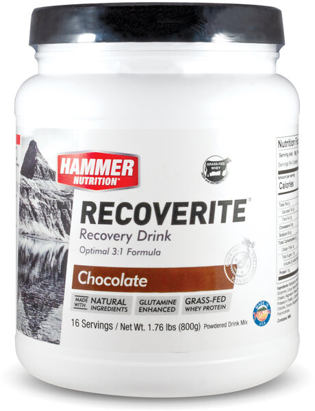 Hammer Nutrition Recoverite Flavor | Size: Chocolate | 16-serving
