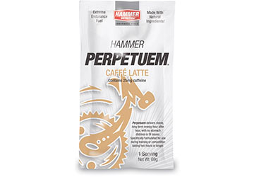 Hammer Nutrition Perpetuem (Single Serving)