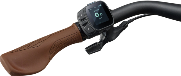 Liv Allure E+ 1 Liv Allure E+ 1