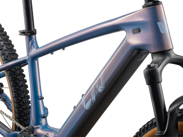 Liv Tempt E+ - Link Cyclery | Lewisburg, PA