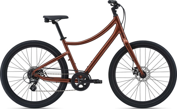Momentum Vida (See details section before purchasing) 