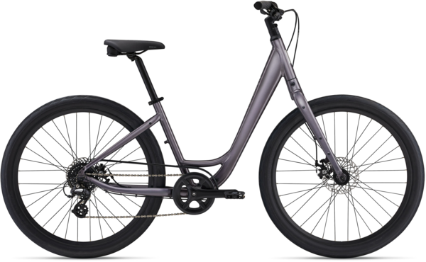 Momentum Vida Low-Step Momentum Vida Low-Step