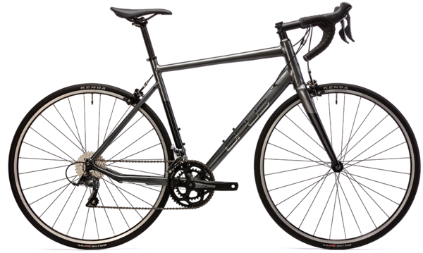 Opus Fortitude Claris