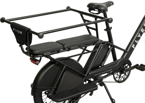 Radio Flyer Kid & Cargo Carrier Hoop – 2 Kids