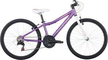 2011 Raleigh Ivy - Bicycle Details 