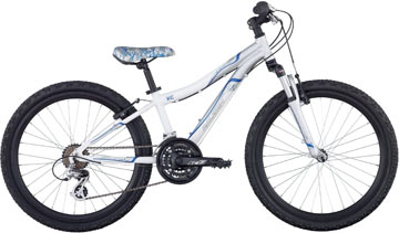 raleigh scout mountain bike