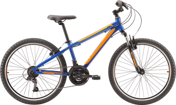 Reid Scout 24 Reid Scout 24