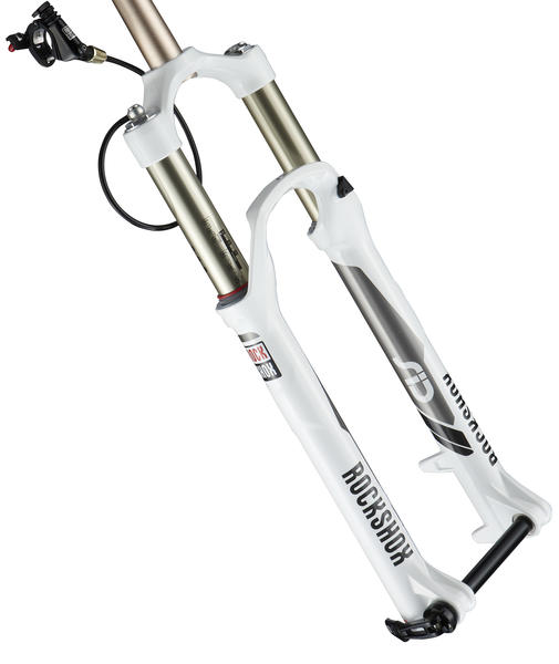 ROCK SHOX 初代 SID It has taken 10 years but I finally got my SID! - Pinkbike