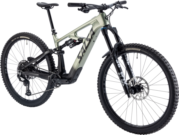 Aguas e Mágoas ブラジル　オルガンバー　サバービア Salsa Moraine C Eagle 90 Transmission Ebike - Blue Ridge Cyclery