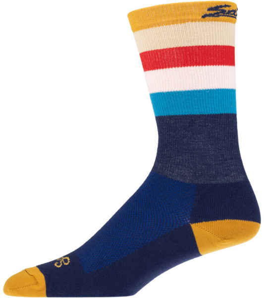Salsa Team Polytone Sock Color: Navy/Stripes