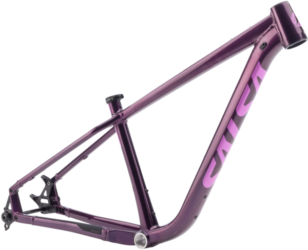 Salsa Timberjack Frame - Southwest Bikes | Las Vegas, NV