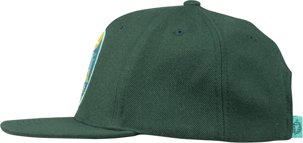 Salsa Tundra Buds Snapback Hat Color: Evergreen