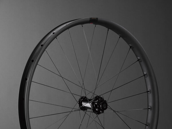 Santa Cruz Reserve 37 29-inch Wheelset North Rim Adventure
