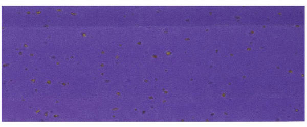 Serfas Synthetic Cork Bar Tape w/ Adhesive