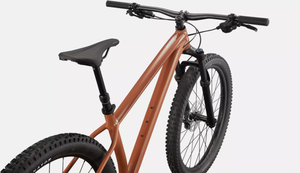 Specialized Fuse Sport Bike Shop Proteus Bicycles