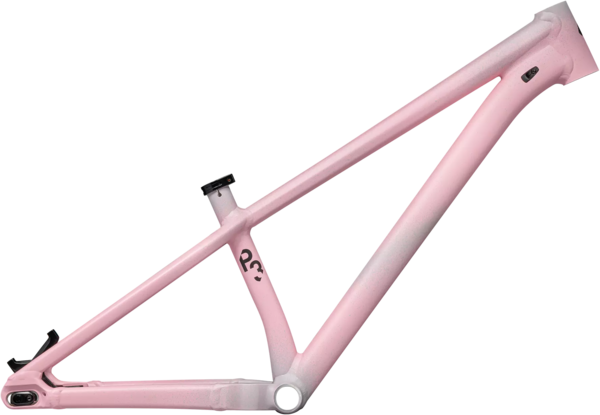 Specialized P.3 Frame