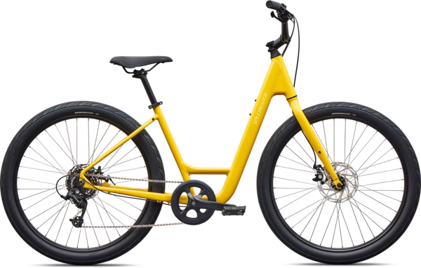 Specialized Roll 2.0 Low Entry - Bicycle Chain | Roseville, MN
