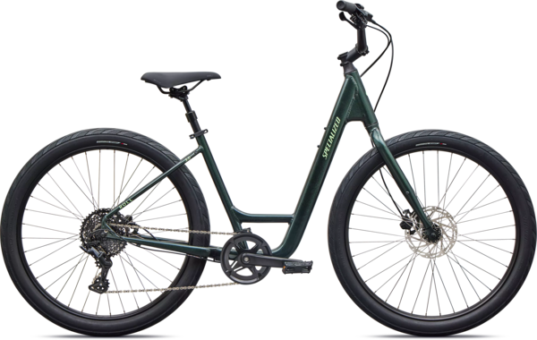 Specialized Roll 3.0 Low Entry - Wheelworks | Belmont & Somerville