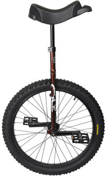 Sun Bicycles Flat Top OR Unicycle