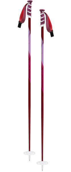 Swix Techlite Pro Ws Poles