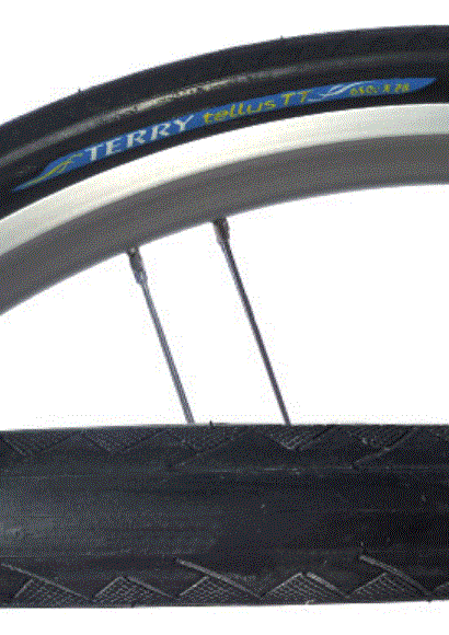 Terry Tellus PT Tire 650 x 28c Color: Black