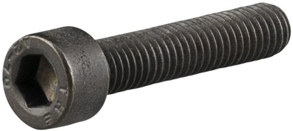 Trek-Diamant Allant+ 9.9 Stem Cap Bolt
