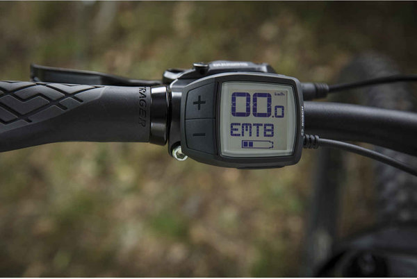 trek powerfly 5 2019 women's