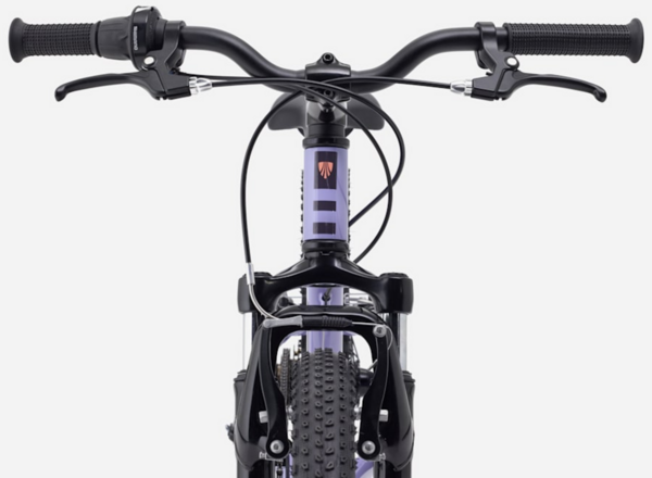 Trek Precaliber 20