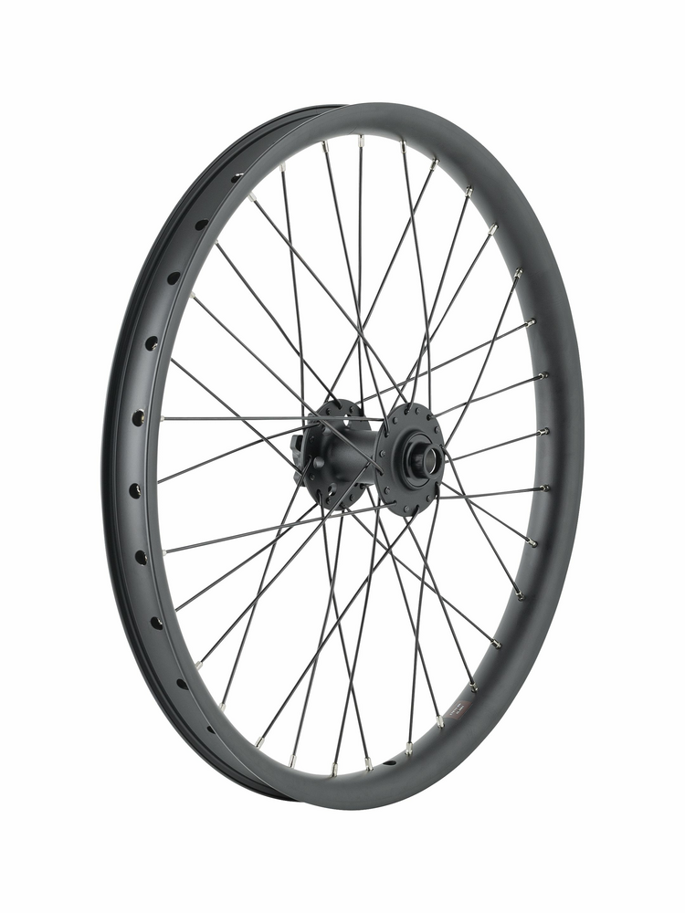 Trek Cargo Bike 6-Bolt Disc 20" Wheel Front