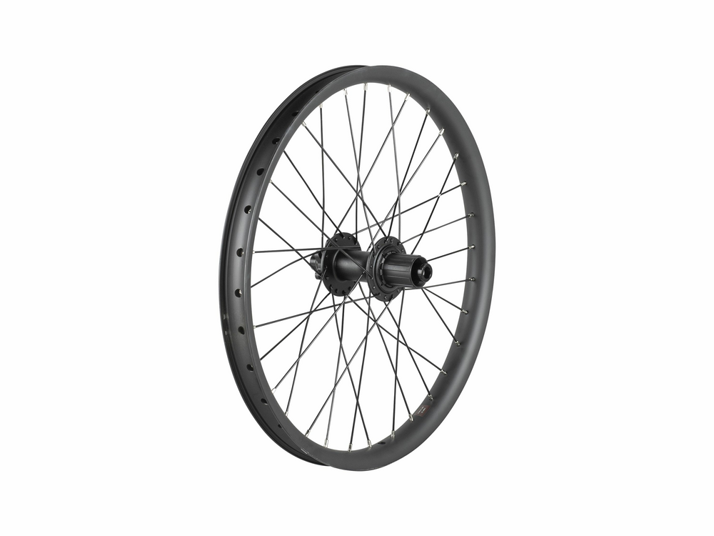 Trek Cargo Bike 6-Bolt Disc 20" Wheel Rear
