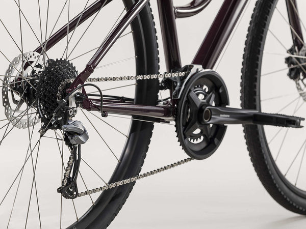 Trek Verve 3 Disc Lowstep - Oliver's 