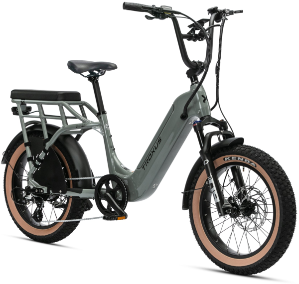 Troxus Lynx 2-Up E-Bike - Helen's Cycles