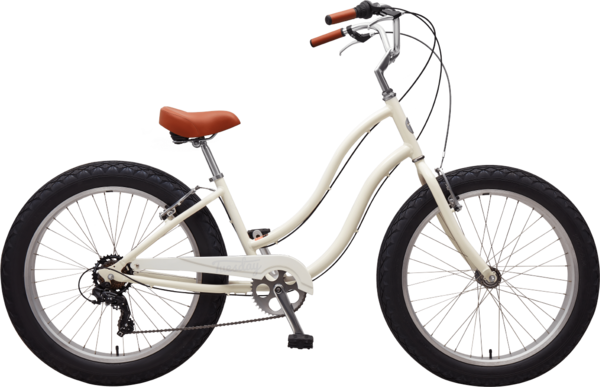 Arizona hill's Tuesday Fat Tuesday Low Step - Bicycle Depot of Arizona