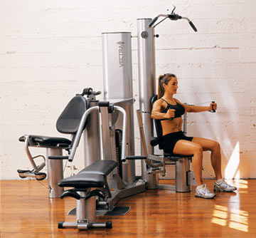 Vectra Fitness On-Line 1650 Home Gym