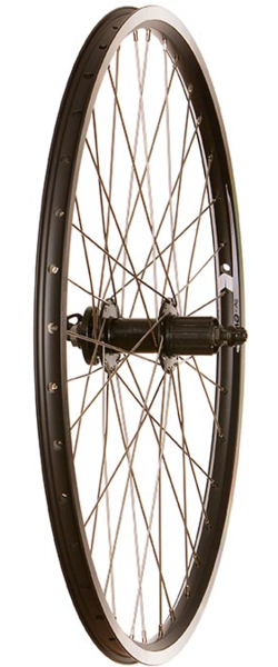 Wheel Shop Evo Tour 19 QR Rim and Disc 26-inch Rear