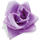 Model: Purple Rose
