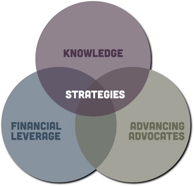 strategies venn diagram