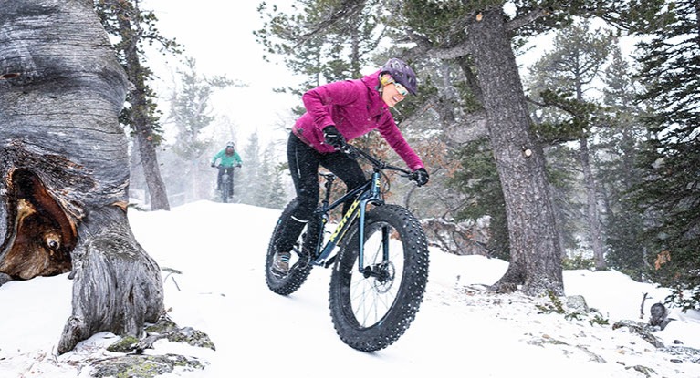 Fat Tire Mountain Bike