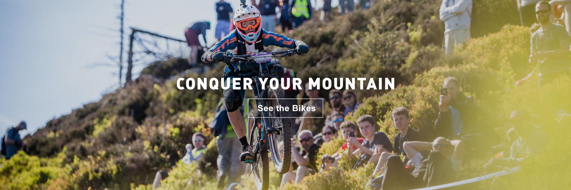 Freewheeler Bike Shop Grand Rapids, MI Bicycle Store